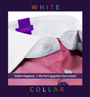 Montreal- Burgundy Magical Structure- White Collar
