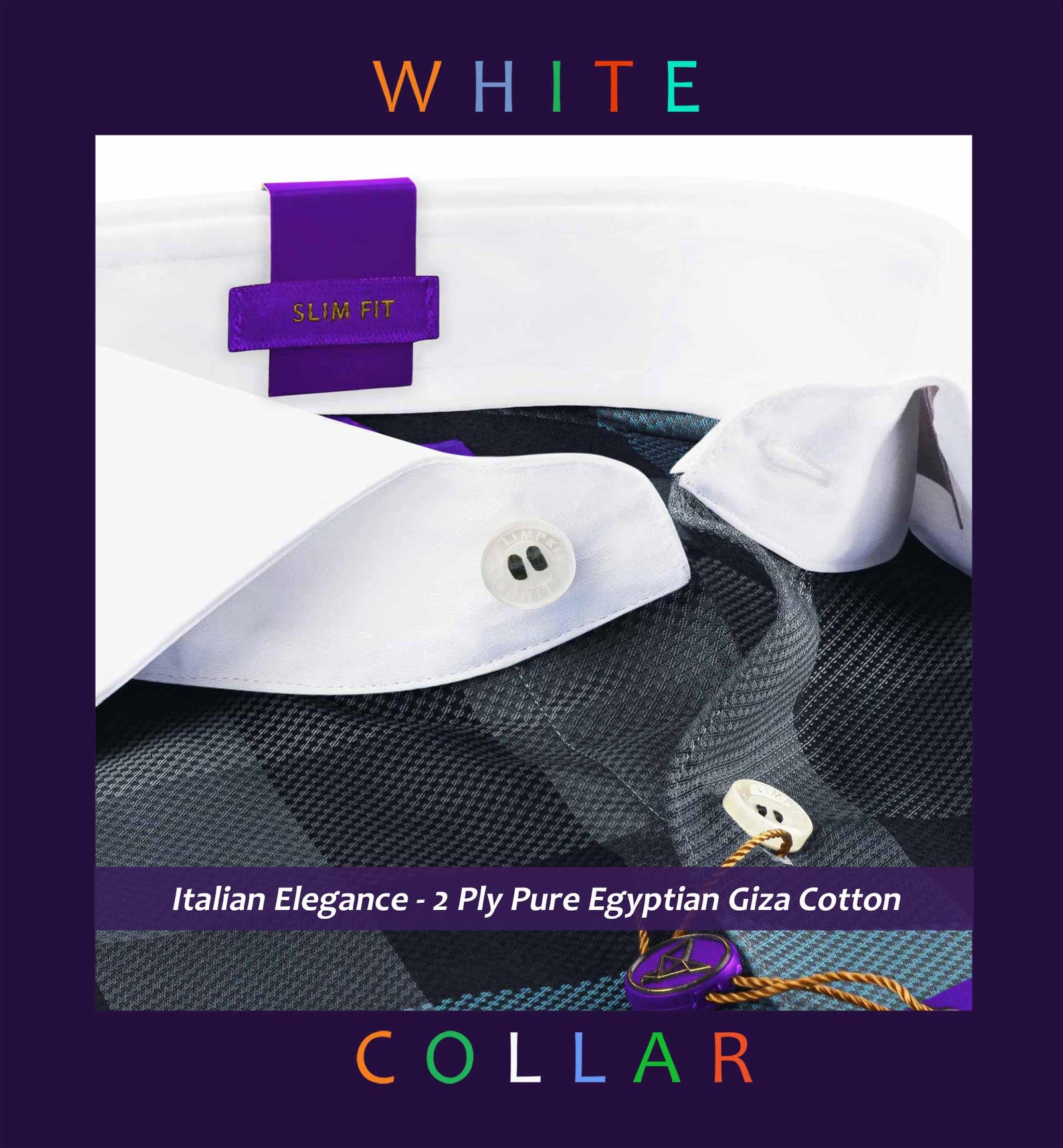 Montana- Anchor Grey & Teal Check- White Collar