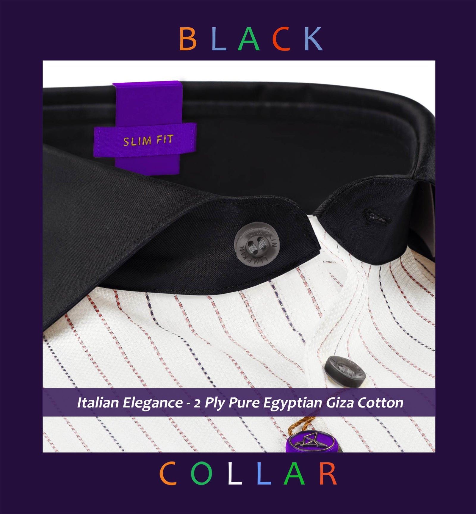 Seattle- Anchor Grey & White Stripe- Black Collar