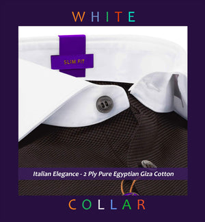 Muraco- Mocha Brown Structure- White Collar