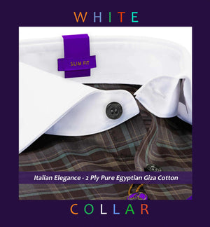 Pengfei- Teal & Brown Check- White Collar