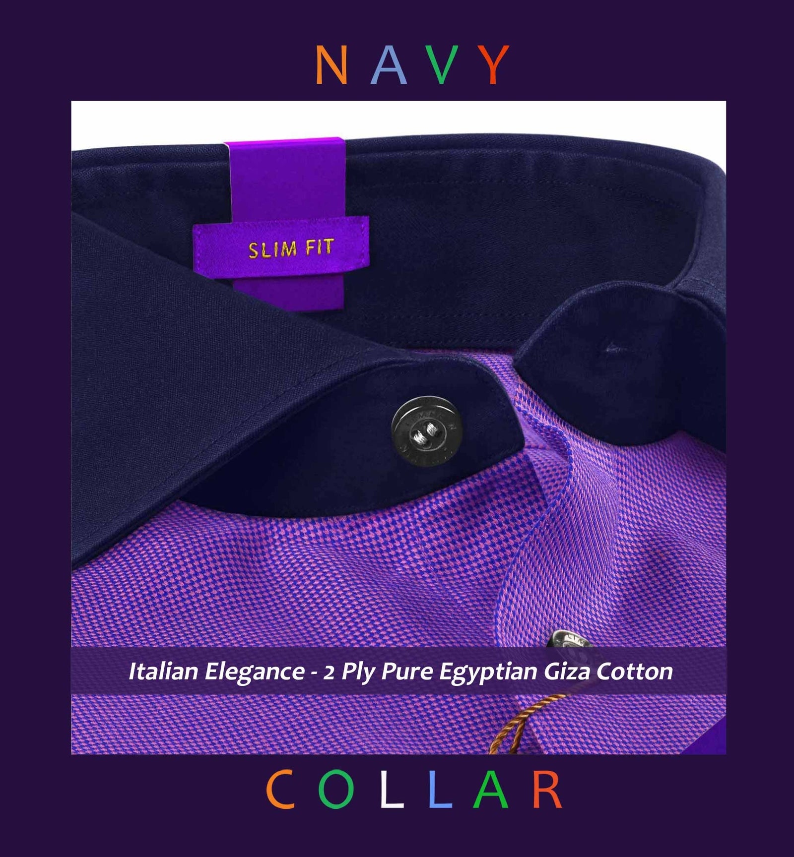 Sebastian- Purple Structure- Navy Collar