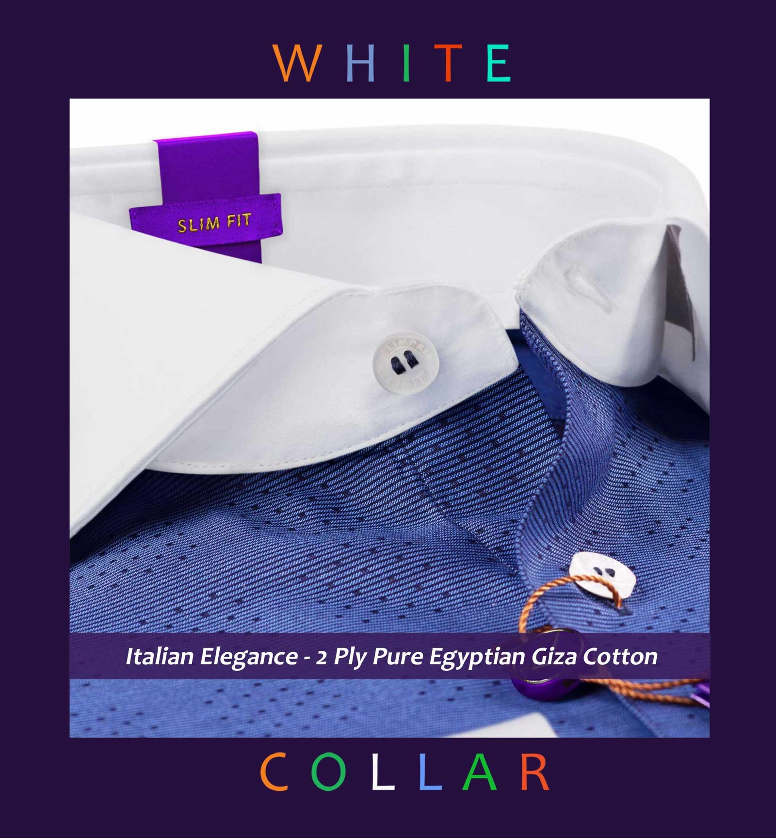 Lancaster- Navy Dotted Horizontal Stripe- White Collar