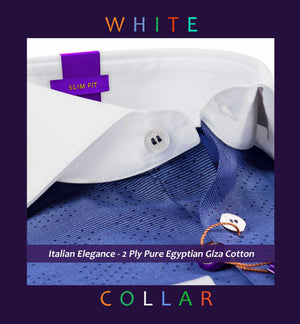 Lancaster- Navy Dotted Horizontal Stripe- White Collar