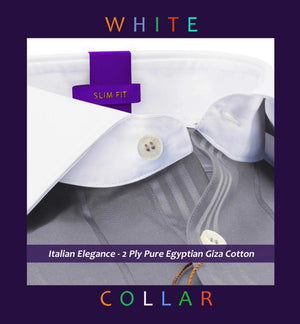 Portugal- Flint Grey Stripe- White Collar