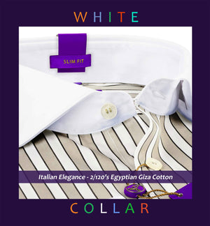 Fribourg- Beige & Mocha Brown Stripe- White Collar