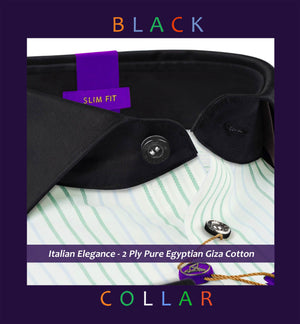 Palmdale- Emerald Green & Grey Stripe- Black Collar
