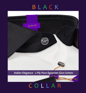 Girona- The Best White Structure- Black Collar