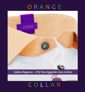 Sebastian- The Best White- Orange Collar