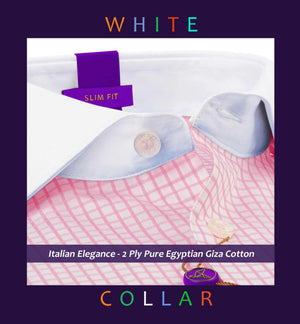 Phoenix- Pink & White Check- White Collar
