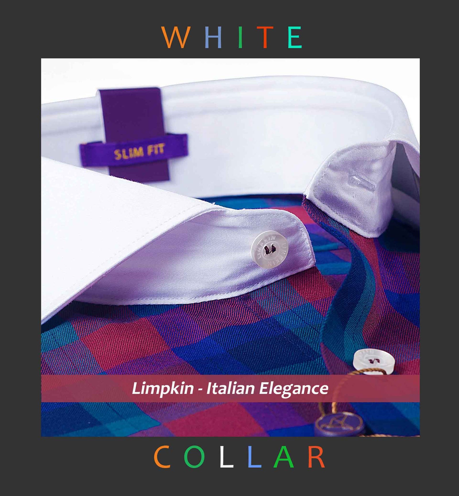 Kentucky - Burgundy & Teal Check- White Collar