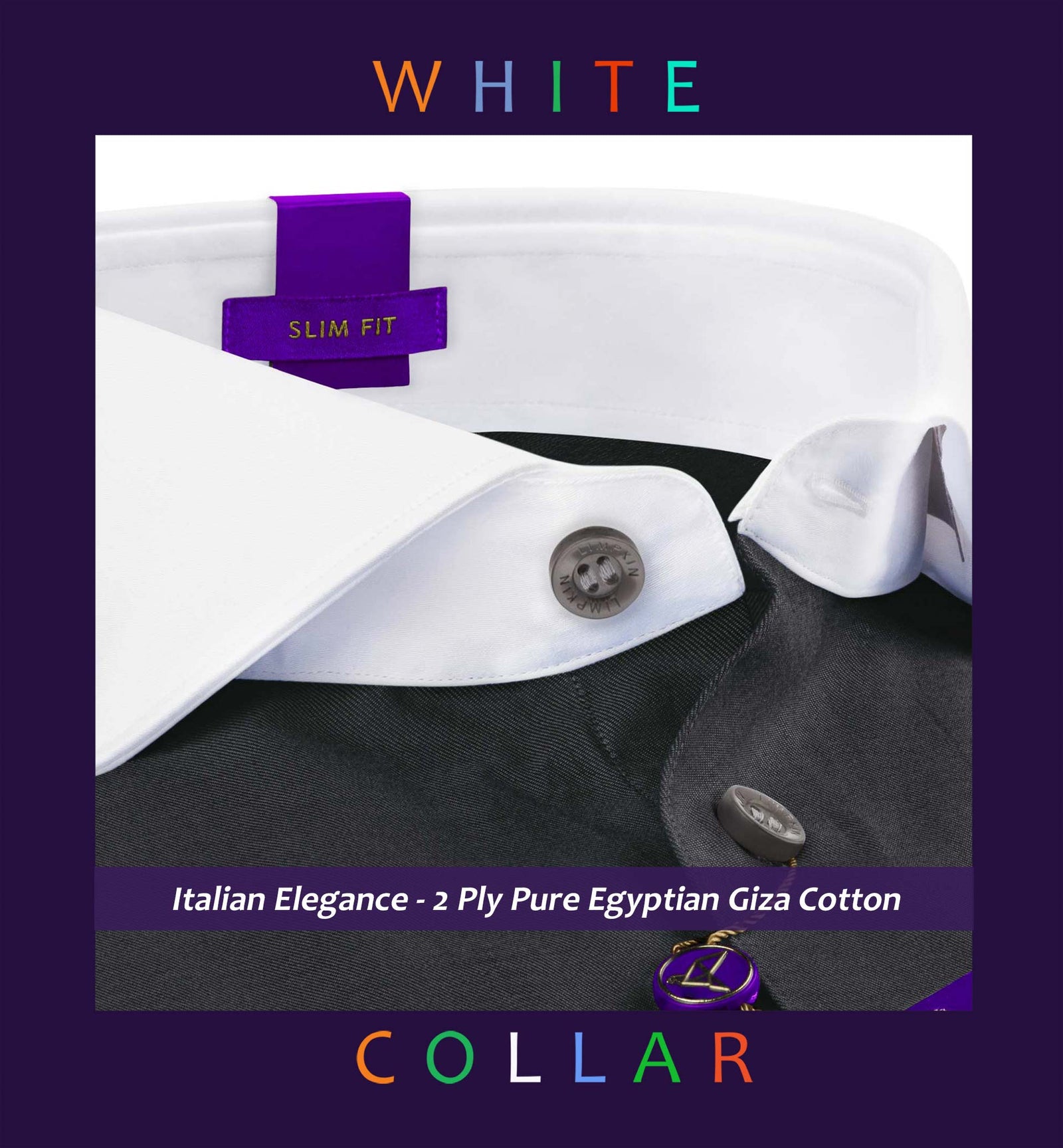 Toulouse- Anchor Grey Solid- White Collar