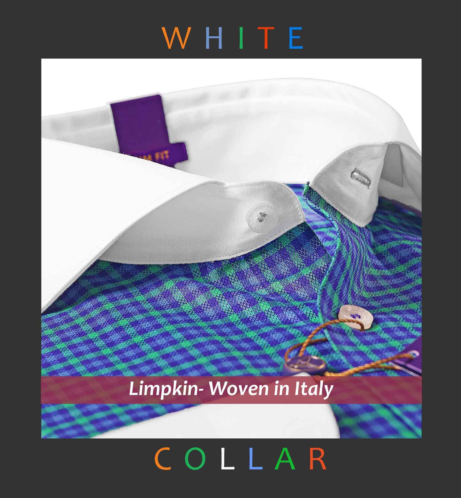 Condamine- Purple & Green Check- White Collar