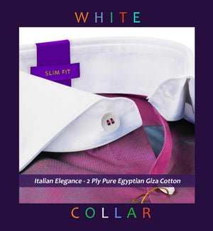 Pasadena- Magenta Solid Twill- White Collar