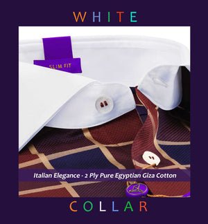 Windsor- Burgundy & Navy Check- White Collar