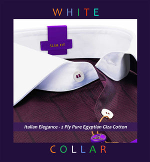 Albania- Plum Purple Stripe with White Collar