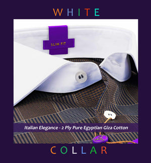 Hempstead- Navy & Brown Check- White Collar