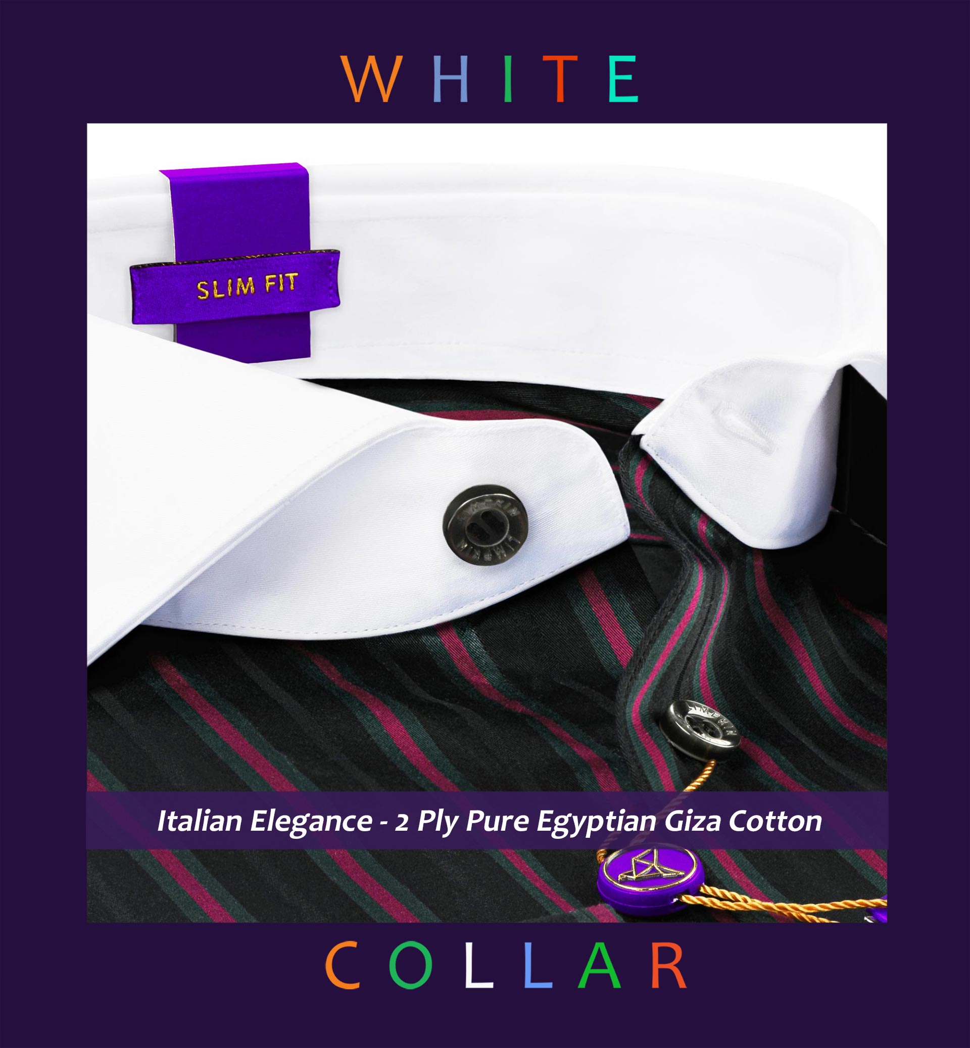 Minsk- Magenta & Black Stripe- White Collar