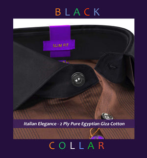 Scarsdale- Cinnamon Brown Stripe- Black Collar