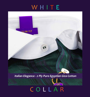 Sebastian- Emerald Green & Navy Stripe- White Collar