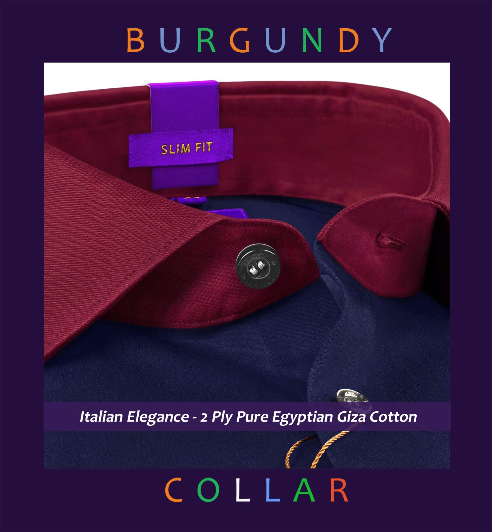Houston- Navy Magical Solid- Burgundy Collar