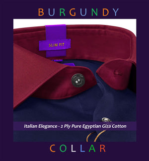 Houston- Navy Magical Solid- Burgundy Collar