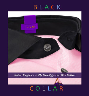 Porus- Lemonade Pink Structure- Black Collar