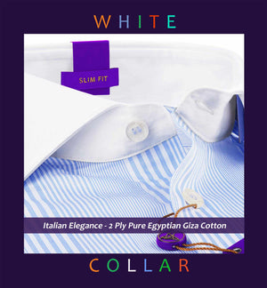 Cleveland- Azure Blue & White Stripe- White Collar