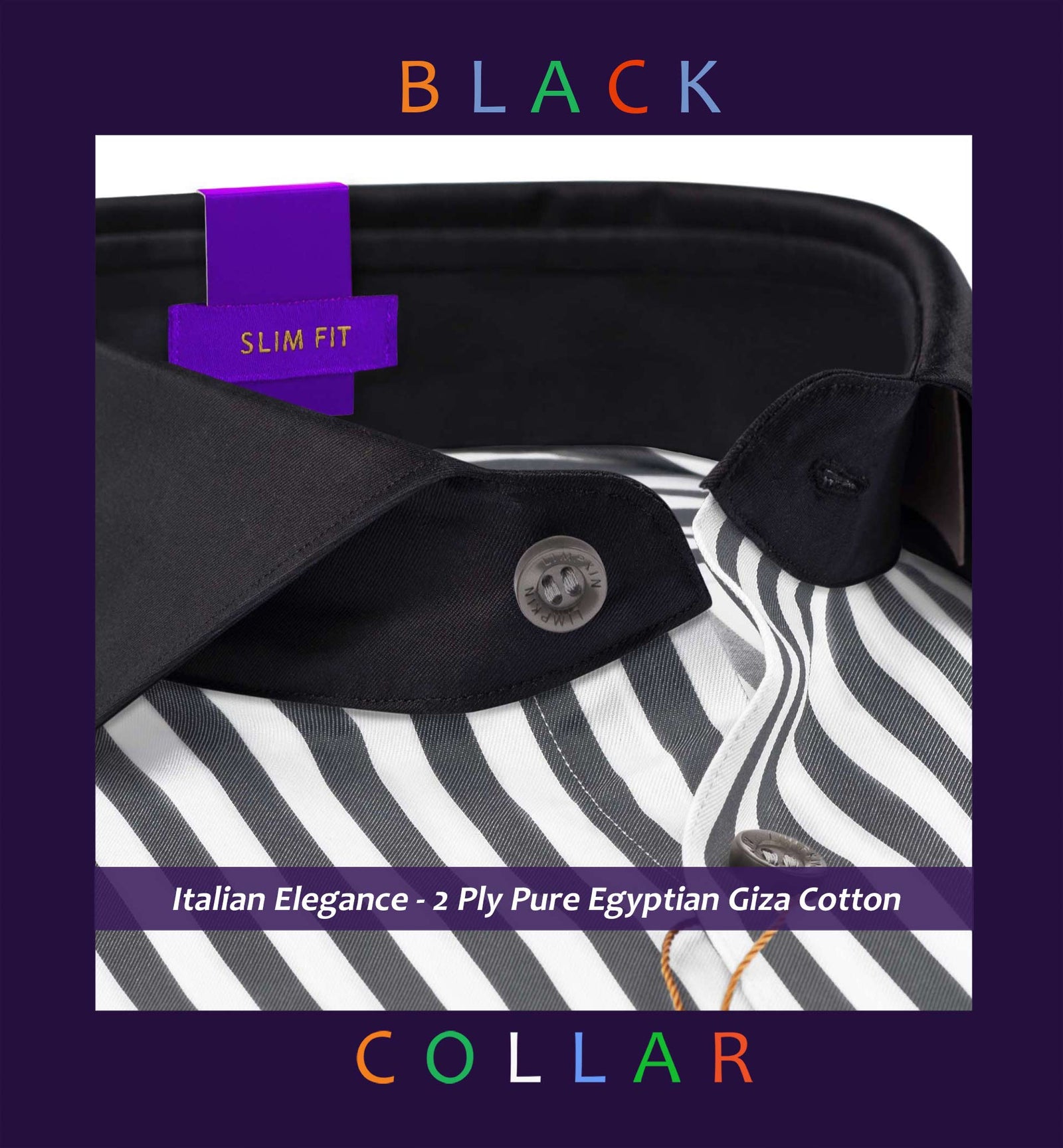 Barbados- Anchor Grey Stripe- Black Collar