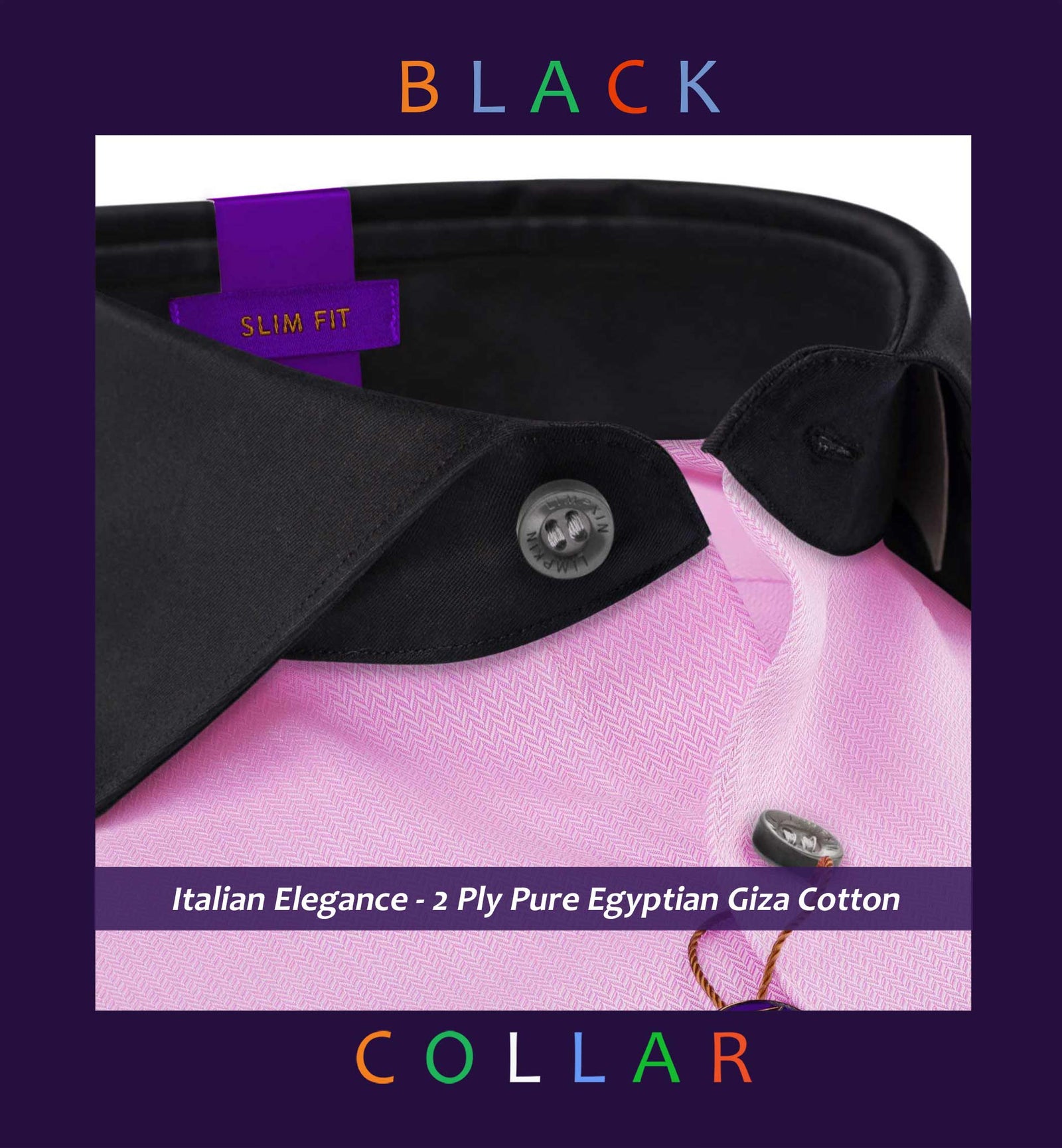 Rochester- Flamingo Pink Stripe- Black Collar
