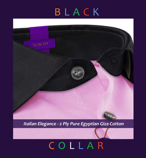 Rochester- Flamingo Pink Stripe- Black Collar