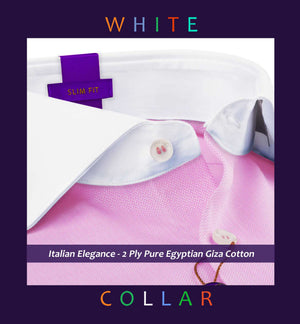 Denton- Flamingo Pink Stripe- White Collar