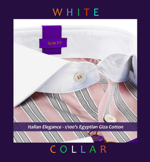 Antwerp- Lemonade Pink & White Stripe- White Collar