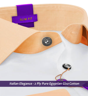 Sebastian- The Best White- Orange Collar