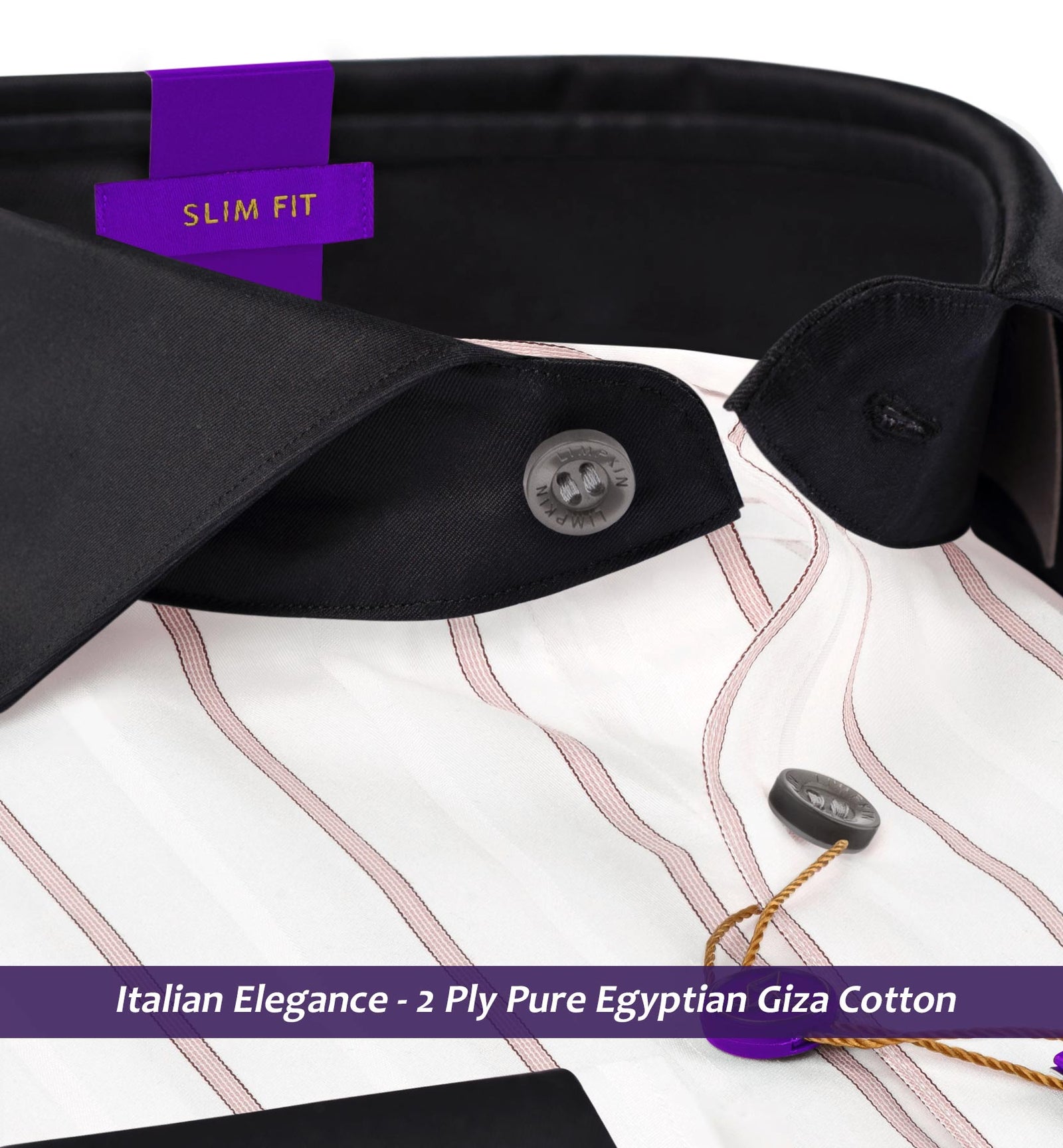 Monaco- Prose Pink & Burgundy Stripe- Black Collar