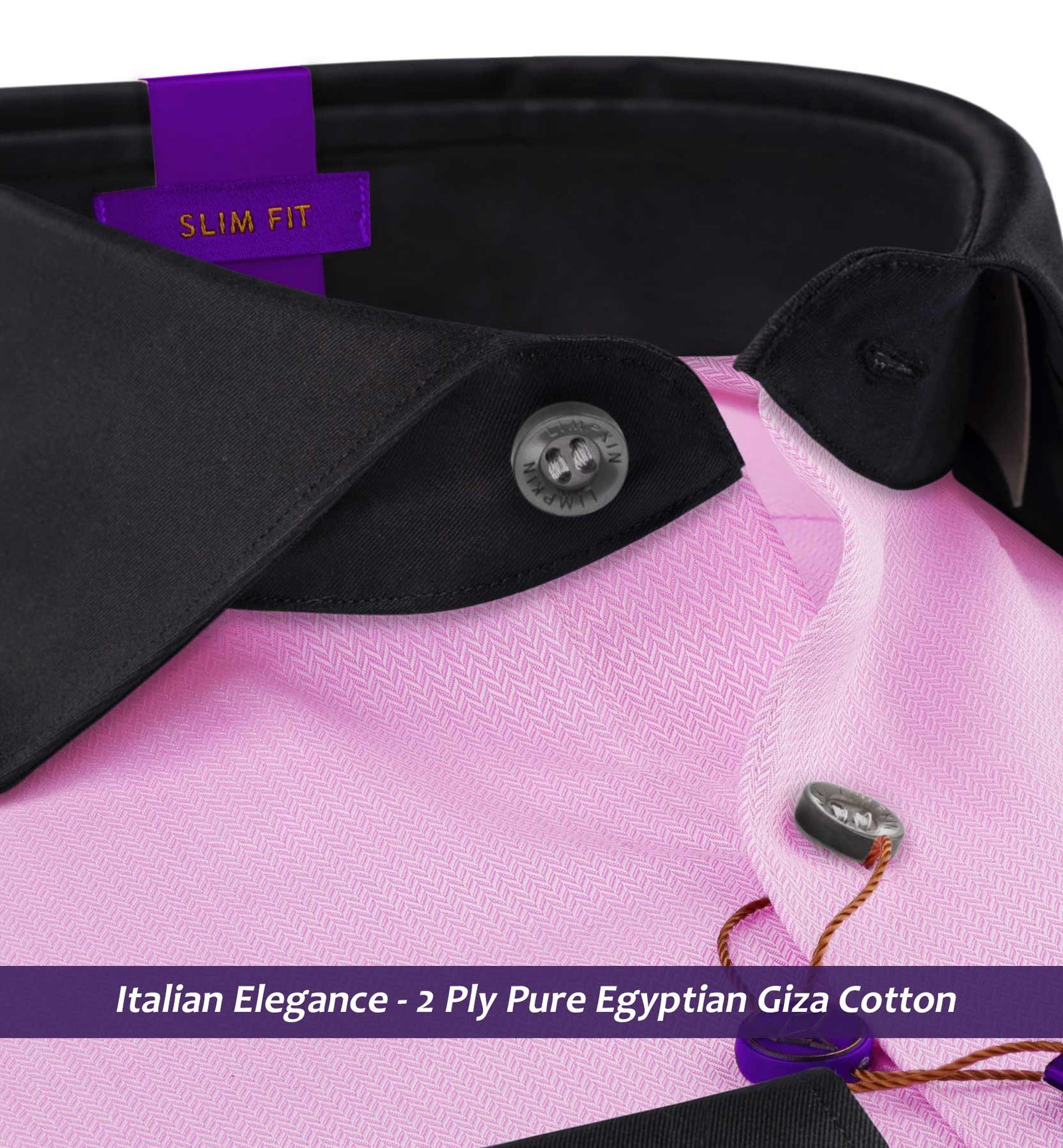 Rochester- Flamingo Pink Stripe- Black Collar