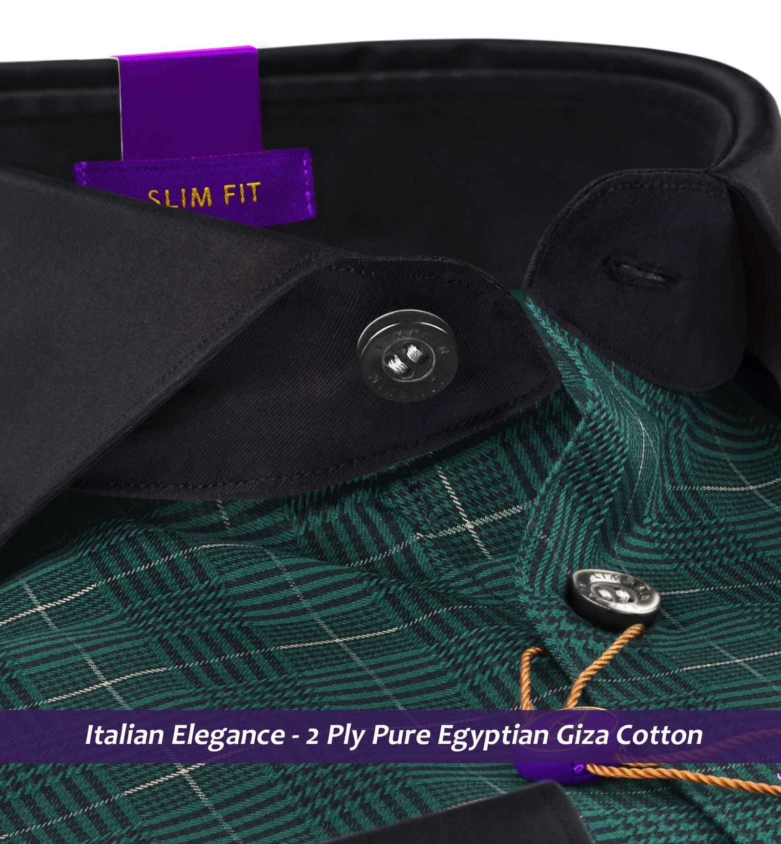 Austin- Seaweed Green & Beige Check- Black Collar