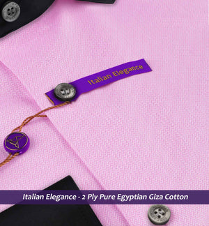 Rochester- Flamingo Pink Stripe- Black Collar