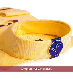 Postiano- Naples Yellow Structure