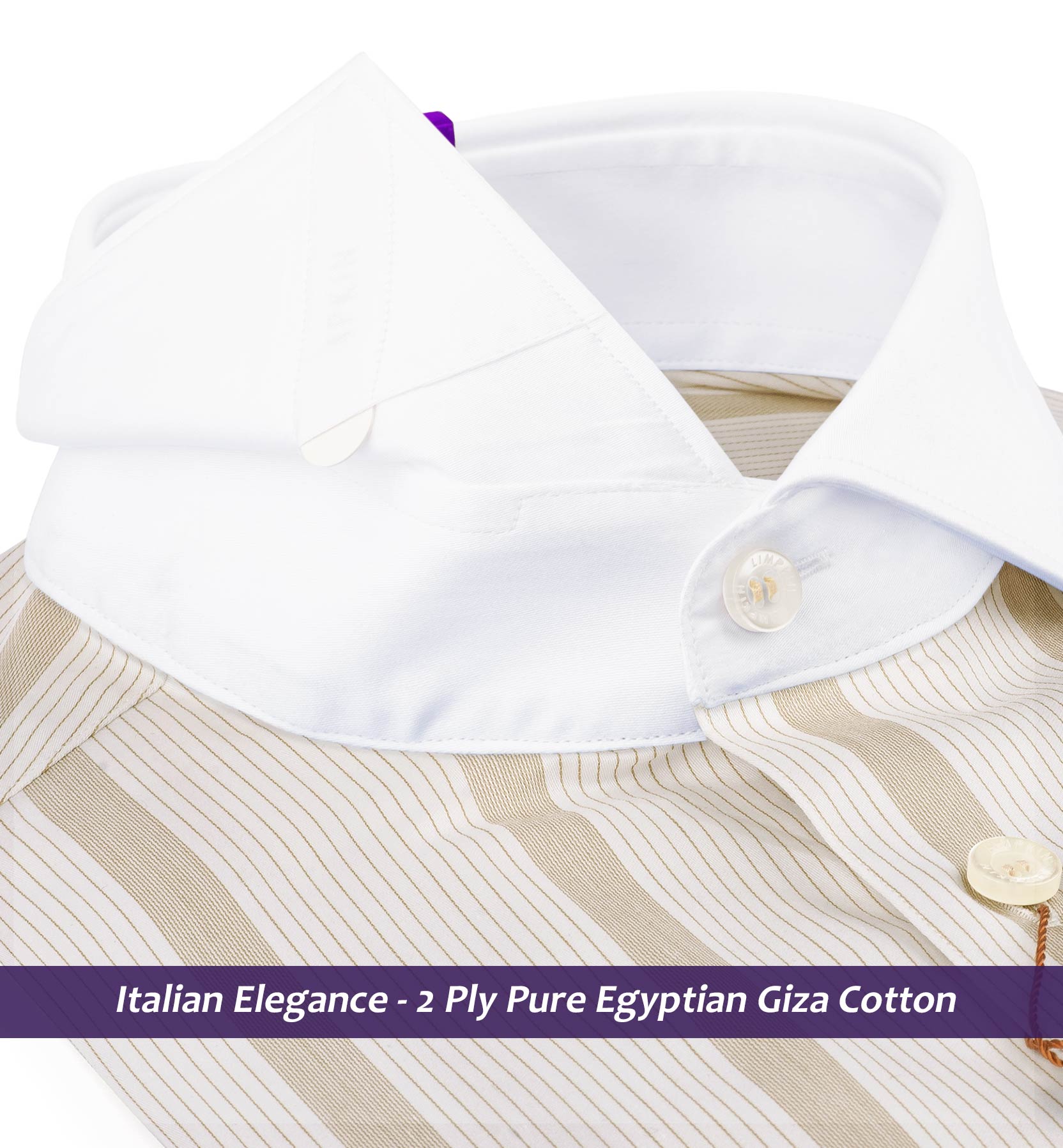 Santillana- Beige & White Stripe- White Collar