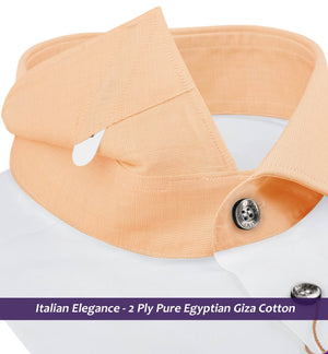 Sebastian- The Best White- Orange Collar