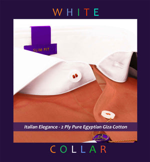 Corinth- Burnt Orange Solid with White Collar