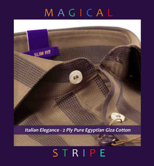 Elgin- Beige & Brown Structure Stripe