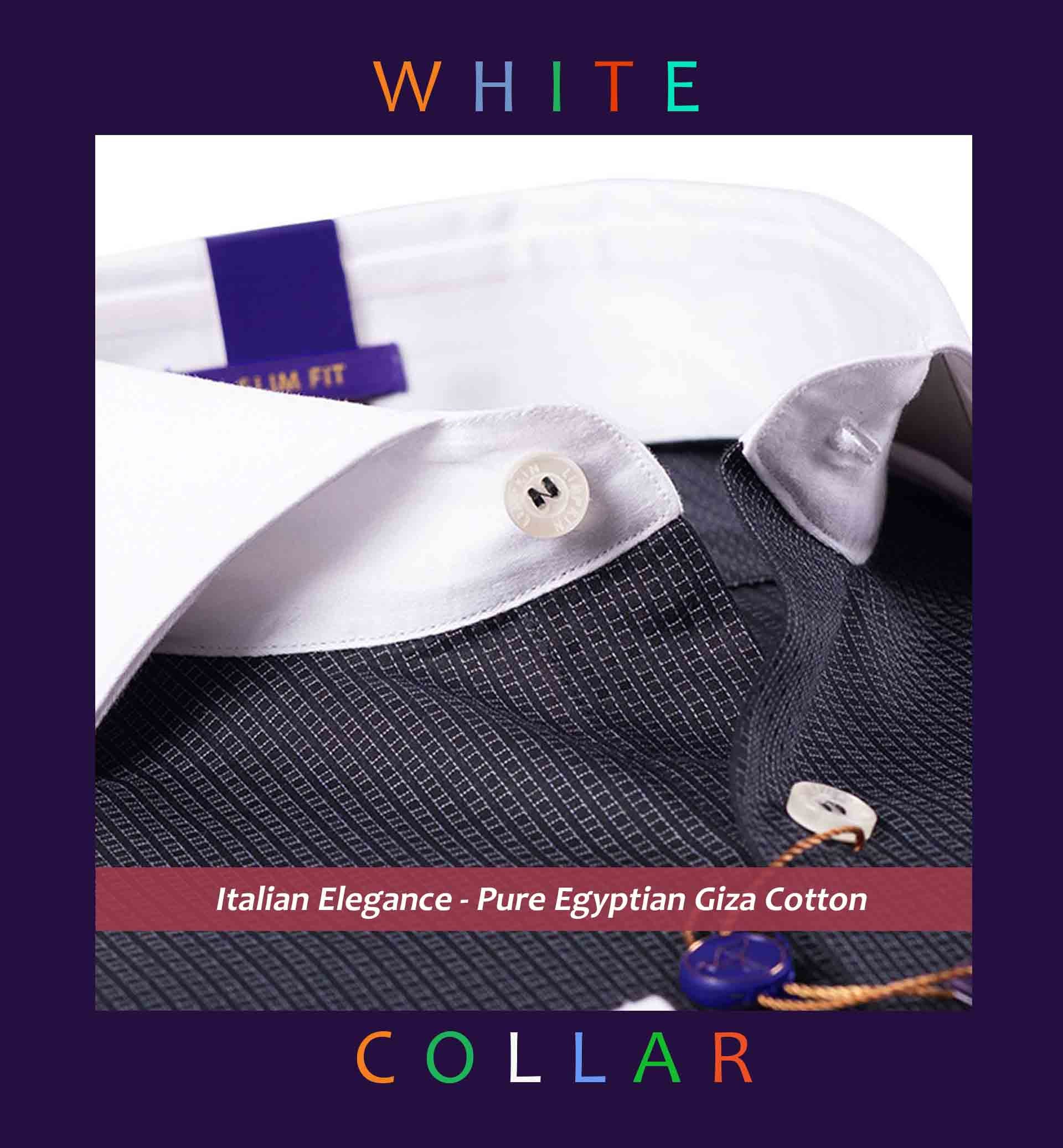 Sydney- Black Structure- White Collar