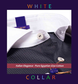 Sydney- Black Structure- White Collar