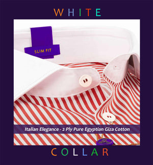 Dallas- Carmine Red & White Stripe with White Collar