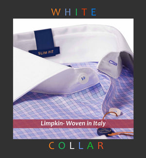 Madison- Blue & White Check- White Collar
