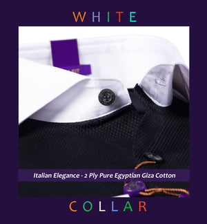 Amsterdam- Black Structure- White Collar